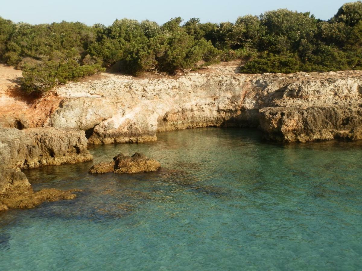 Il Fico D'India Dell'Antico Orto Villa Ostuni Exterior foto