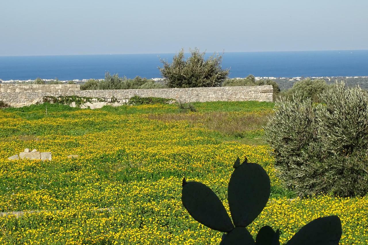 Il Fico D'India Dell'Antico Orto Villa Ostuni Exterior foto