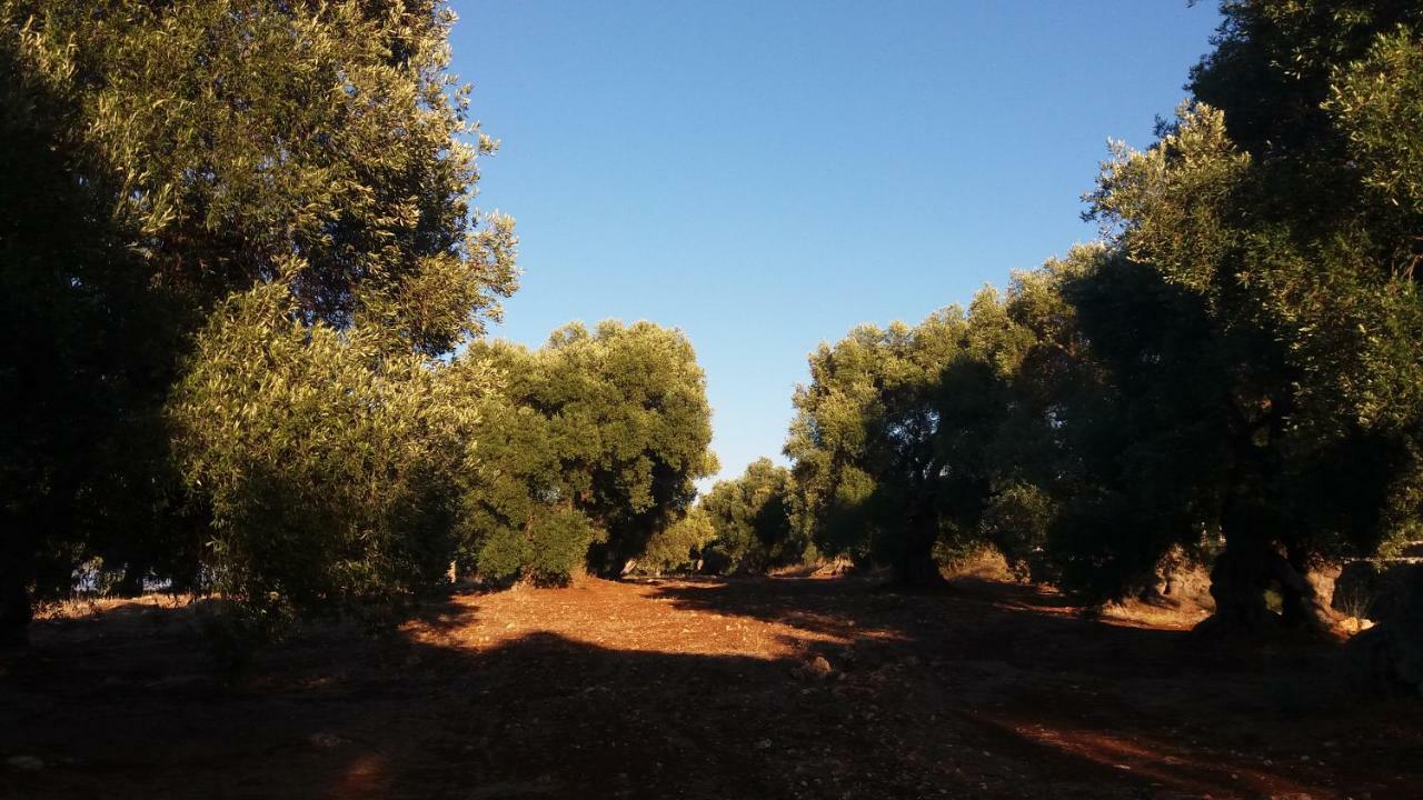 Il Fico D'India Dell'Antico Orto Villa Ostuni Exterior foto