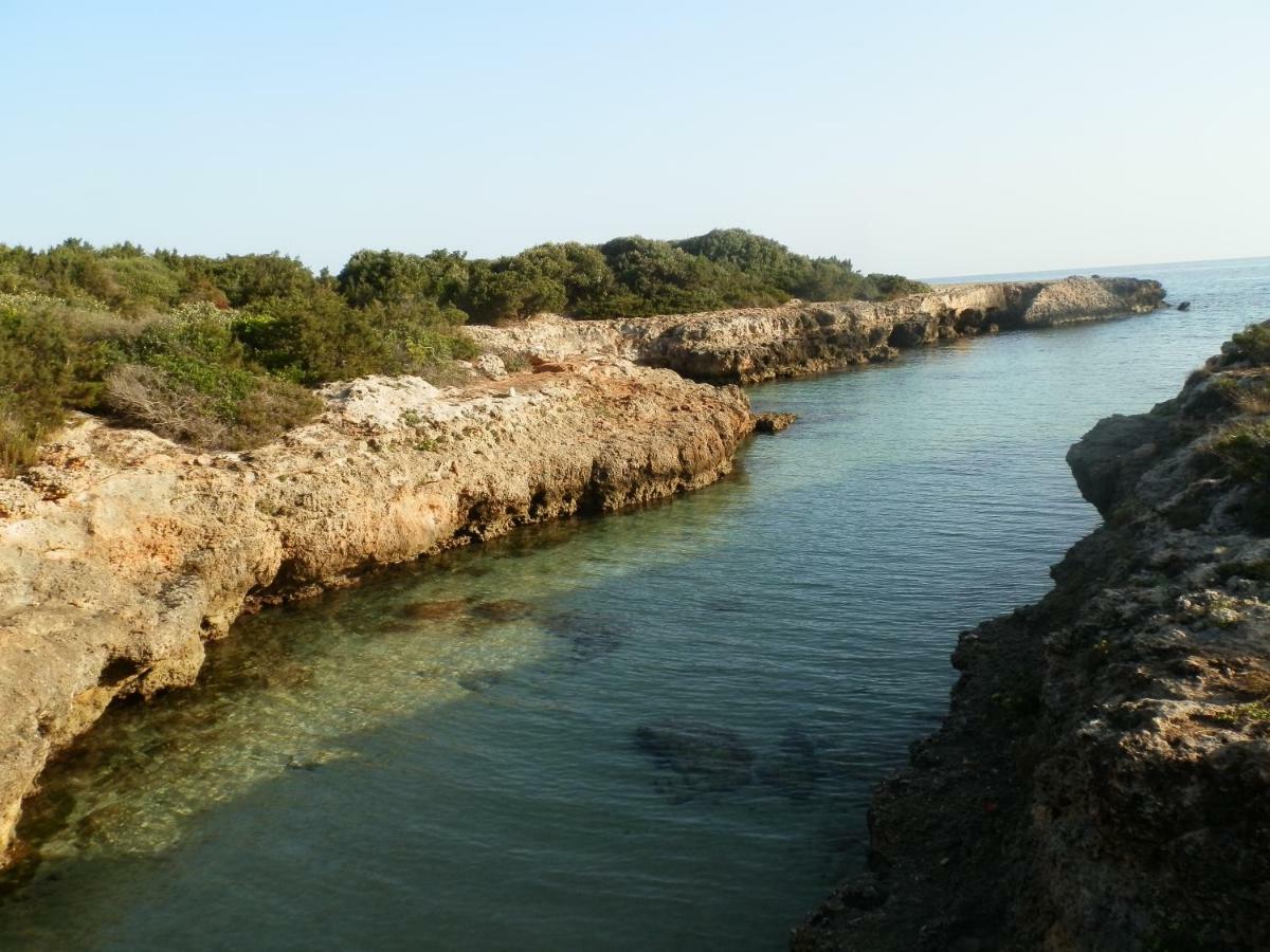 Il Fico D'India Dell'Antico Orto Villa Ostuni Exterior foto
